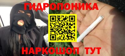 МДПВ Новодвинск