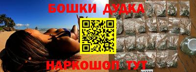 МДПВ Новодвинск