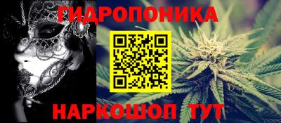 МДПВ Новодвинск