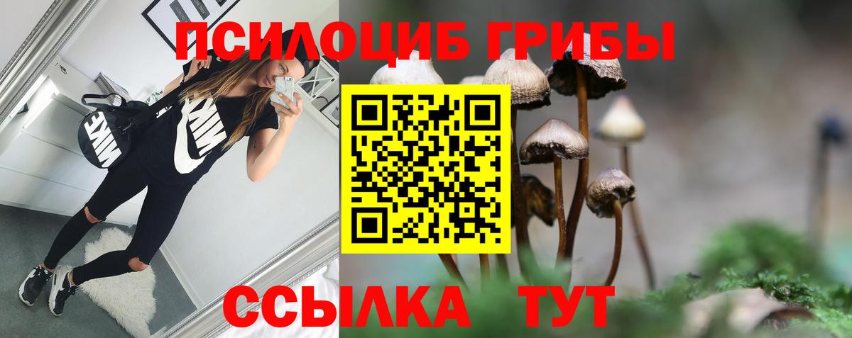 Галлюциногенные грибы прущие грибы  где найти   Фурманов  Вход с VPN 