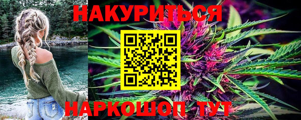 Конопля сатива Фурманов